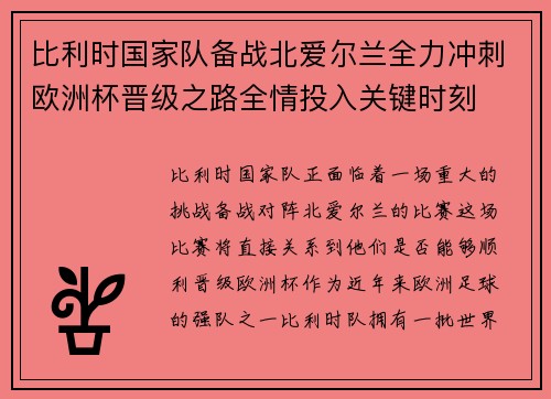 比利时国家队备战北爱尔兰全力冲刺欧洲杯晋级之路全情投入关键时刻