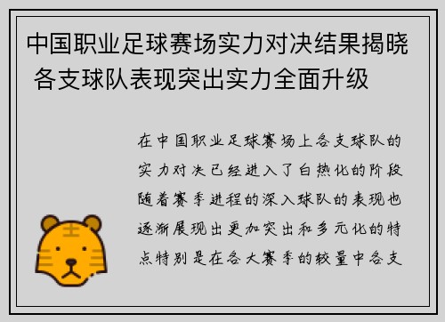 中国职业足球赛场实力对决结果揭晓 各支球队表现突出实力全面升级